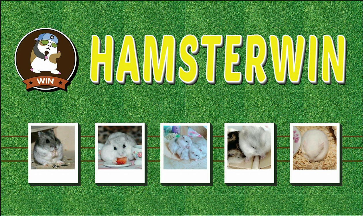 hamster-win