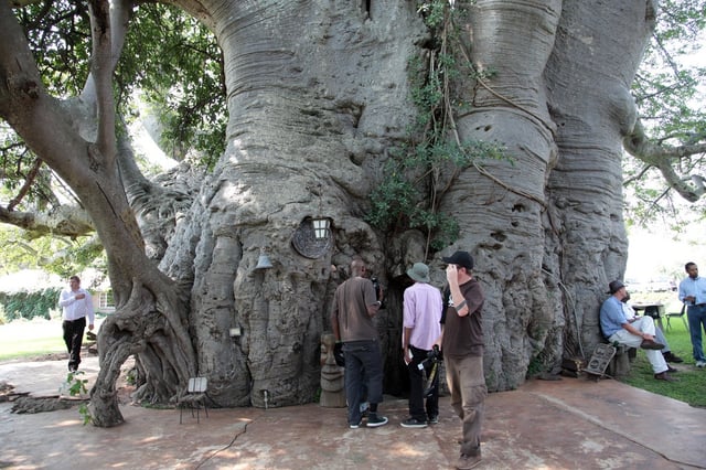 quan-cafe-Baobab-Tree-chi-chua-duoc-10-nguoi.jpg