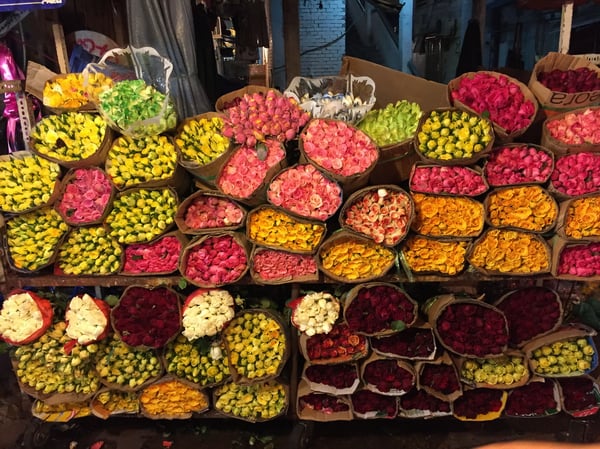 lấy hoa ở chợ đầu mối Hồ Thị Kỷ Hồ Chí Minh