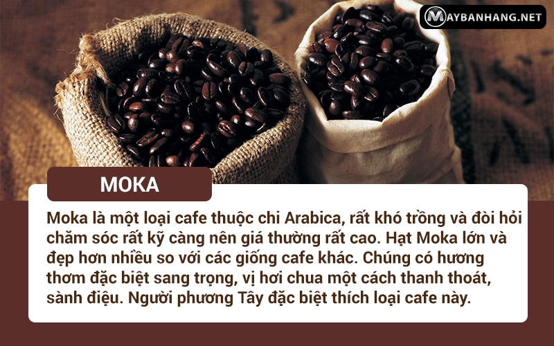 Vì sao cafe moka lại đắt?
